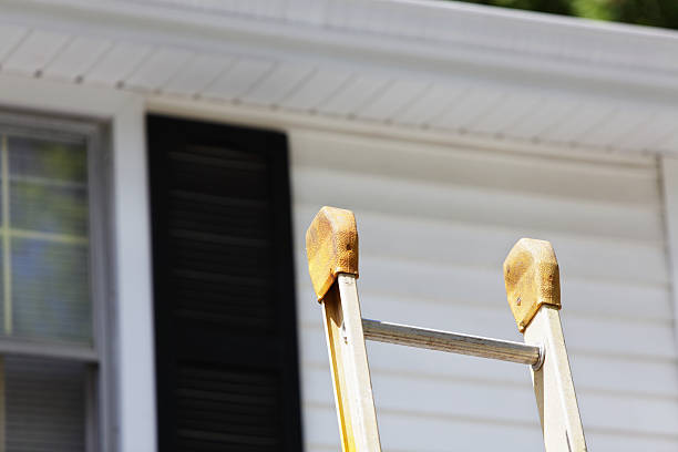 Best Steel Siding Installation  in Jourdanton, TX