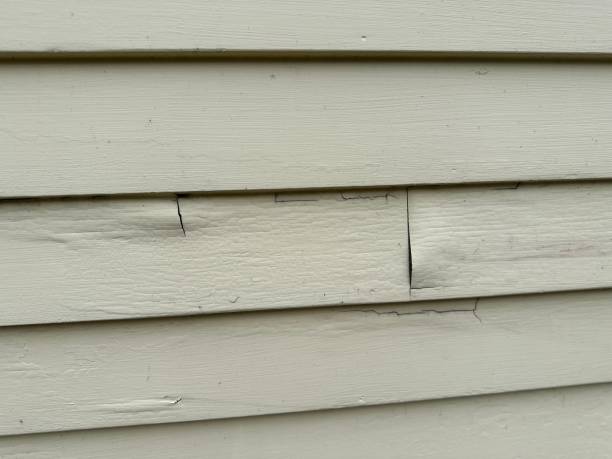 Best Historical Building Siding Restoration  in Jourdanton, TX